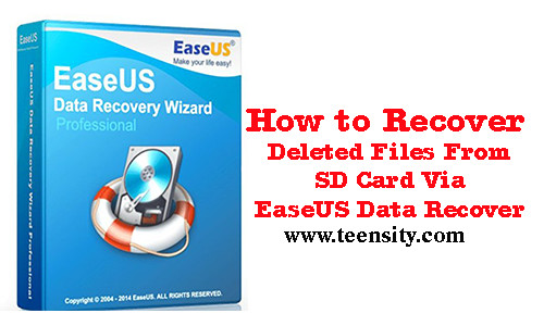 Recover Deleted Files From SD Card via EaseUS Data Recovery